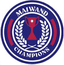 Maiwand Champions Flag